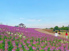 -径山花海