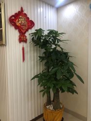 点击看大图 -海峡医疗美容医院