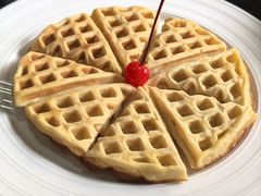 -OLD TREE老树咖啡·西餐厅(台山人工湖店)