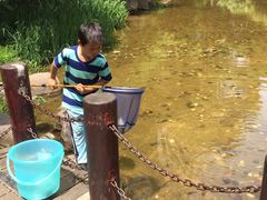 -新湖明珠城