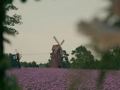 -同里国家湿地公园