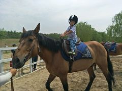 -月河湾马术俱乐部(朝阳店)