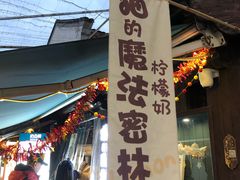 -猫的魔法密林(衣裳街店)