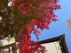 -北京友谊宾馆·俄罗斯餐厅