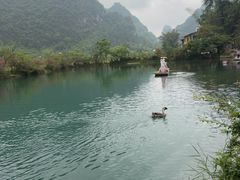 -靖西鹅泉风景区