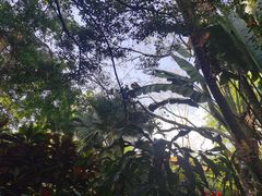 -海南热带野生动植物园