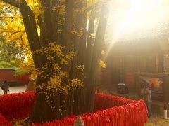 -红螺寺