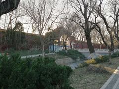 -菖蒲河公园