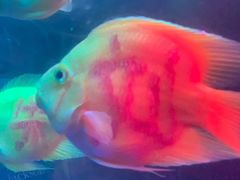 -多彩贵州城极地海洋世界