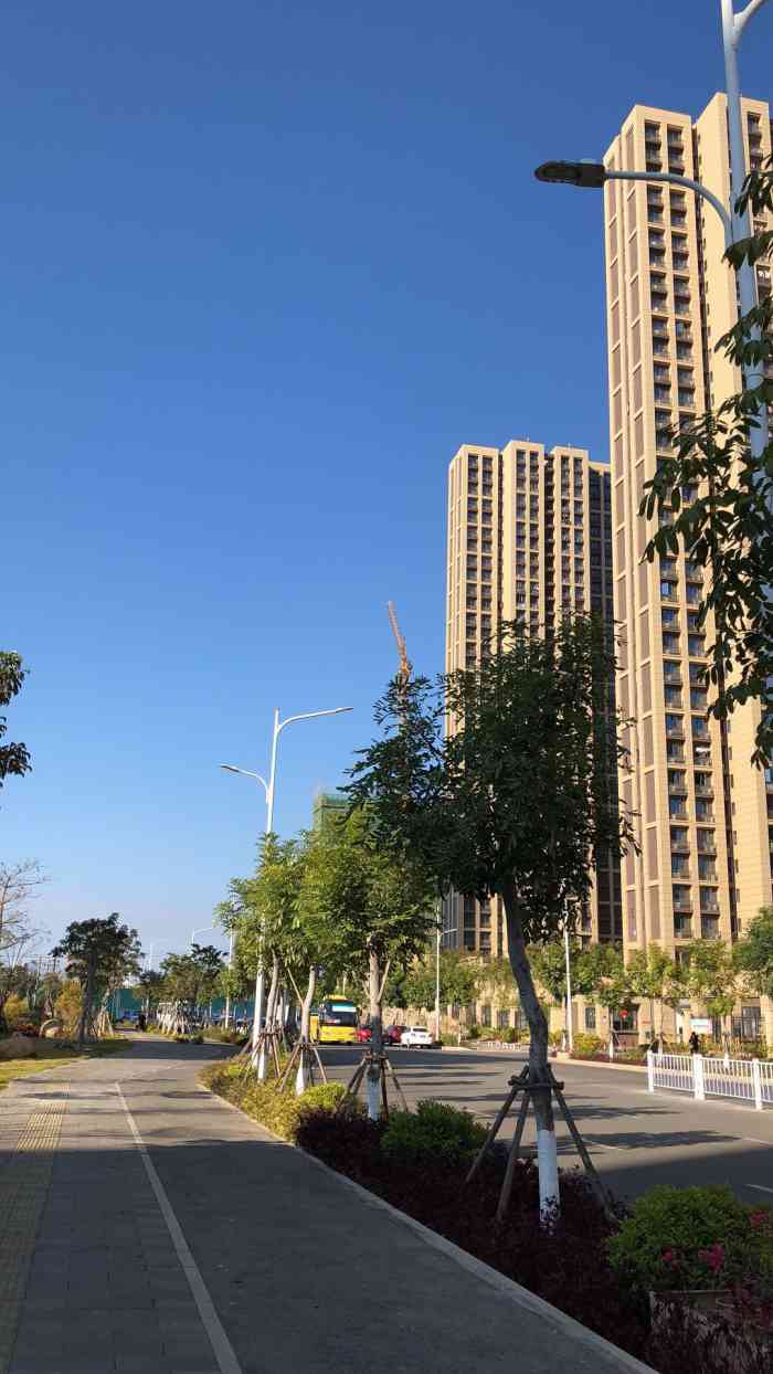 洋唐居住区"住在洋塘安居保障房附近的盆友们注意了!