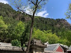 -北京上方山国家森林公园