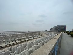 -南汇嘴观海公园