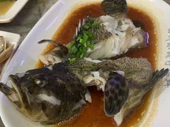 石斑鱼清蒸-四川小胡子海鲜(丁村万人海鲜广场店)