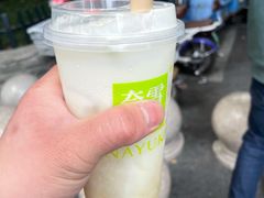芝士阿里山初露-奈雪的茶(观前街店)