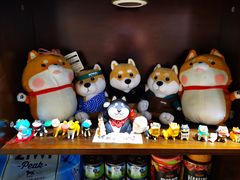 -逗柴咖啡屋·狗咖猫咖宠物桌游