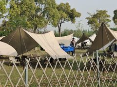 -上海长兴岛郊野公园