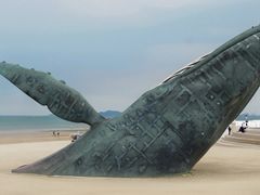 -烟台金沙滩海滨公园