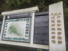 -华蓥山天意谷景区