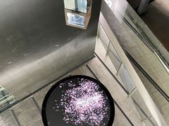-知美术馆