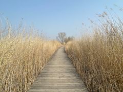 -野鸭湖国家湿地公园