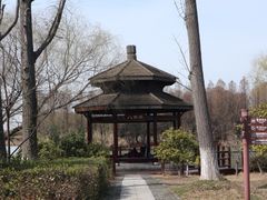 -苏州太湖国家湿地公园