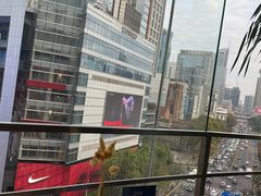 -小大董·烤鸭(观景餐厅·南京西路店)