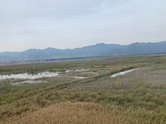 景点-野鸭湖国家湿地公园