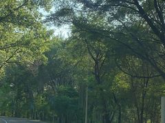 -南戴河国际娱乐中心