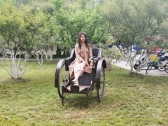 -合肥滨湖国家森林公园