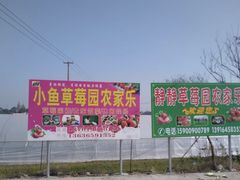 -小鱼草莓采摘园农家乐·小鱼餐厅
