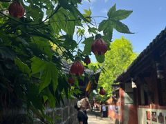 -中国观音故里广德景区