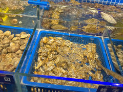 -锅儿欢海鲜火锅烤肉自助餐(东港凯虹店)