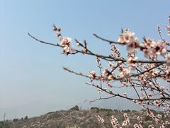 -白水寺森林公园