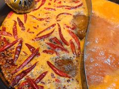 -蜀大侠火锅(建设路第五大道店)