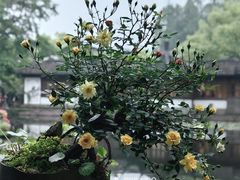 -郭庄景区