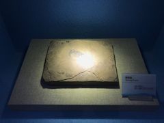 -陕西自然博物馆