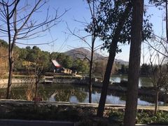 -安徽禾泉小镇
