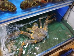 -金鹰超市(国际购物中心新街口店)