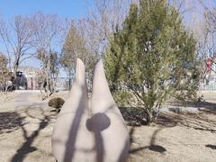 -夏都公园-延庆规划展览馆