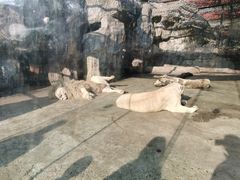 -南昌动物园