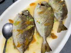 -潮澎派·潮汕菜大排档(南较西路店)