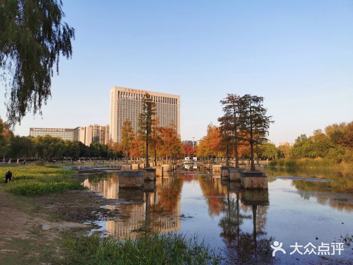 合肥生态公园图片