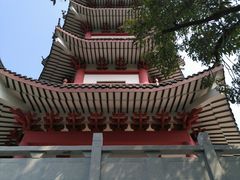 -恋山坝上草原