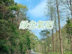 景点-宁海森林温泉