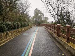 -杭州半山国家森林公园