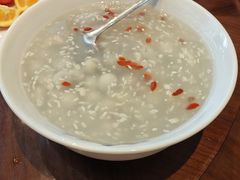 -泰康之家·申园