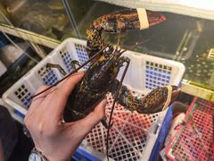 -船奇蒸汽海鲜·闽菜(八市海鲜总店)