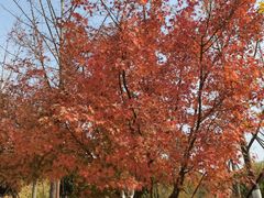 -西山漾湿地公园