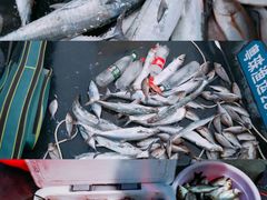 -东澳岛