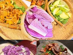 -滇野云南野生菌餐厅(陕西南路店)